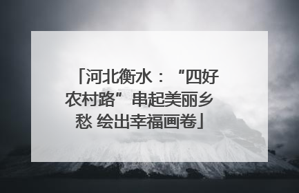 河北衡水：“四好农村路”串起美丽乡愁 绘出幸福画卷