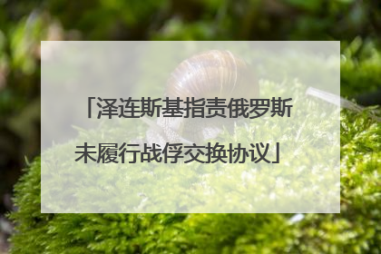 泽连斯基指责俄罗斯未履行战俘交换协议