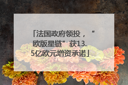 法国政府领投，“欧版星链”获13.5亿欧元增资承诺