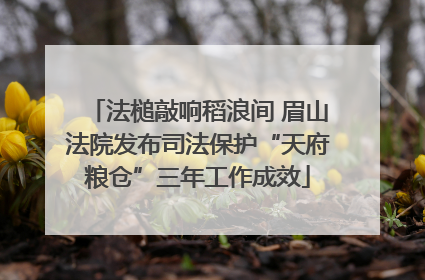 法槌敲响稻浪间 眉山法院发布司法保护“天府粮仓”三年工作成效
