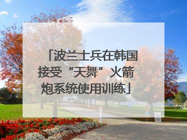 波兰士兵在韩国接受“天舞”火箭炮系统使用训练