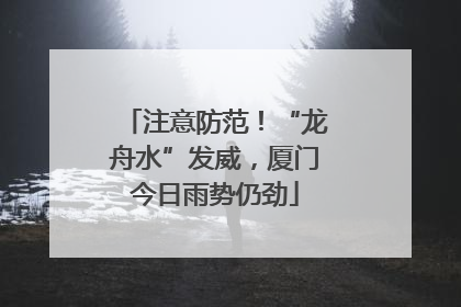注意防范！“龙舟水”发威，厦门今日雨势仍劲