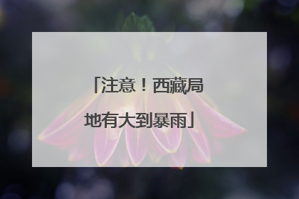 注意！西藏局地有大到暴雨