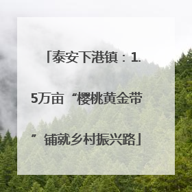 泰安下港镇：1.5万亩“樱桃黄金带”铺就乡村振兴路