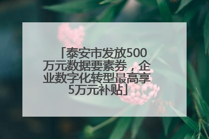 泰安市发放500万元数据要素券，企业数字化转型最高享5万元补贴