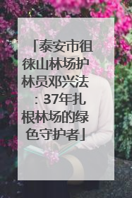 泰安市徂徕山林场护林员邓兴法：37年扎根林场的绿色守护者