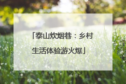 泰山炊烟巷：乡村生活体验游火爆