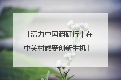 活力中国调研行｜在中关村感受创新生机
