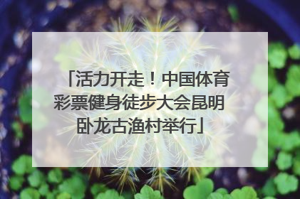 活力开走！中国体育彩票健身徒步大会昆明卧龙古渔村举行