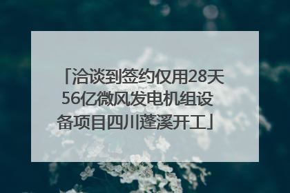 洽谈到签约仅用28天 56亿微风发电机组设备项目四川蓬溪开工