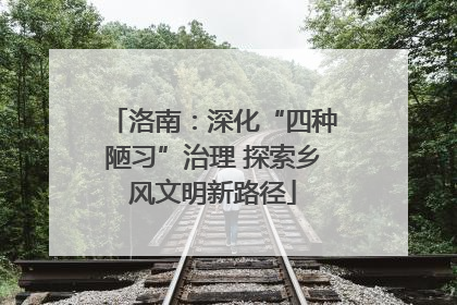 洛南：深化“四种陋习”治理 探索乡风文明新路径