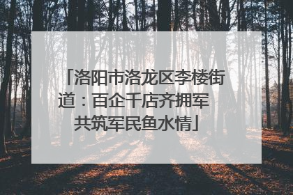 洛阳市洛龙区李楼街道：百企千店齐拥军 共筑军民鱼水情