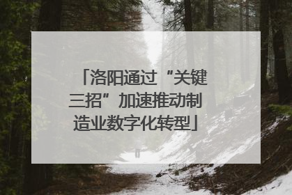 洛阳通过“关键三招”加速推动制造业数字化转型