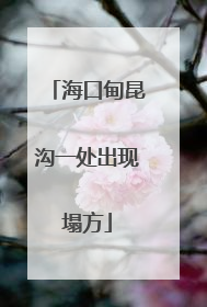 海口甸昆沟一处出现塌方
