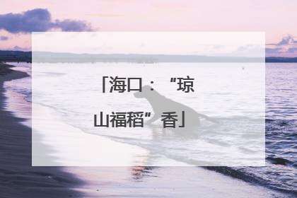 海口：“琼山福稻”香