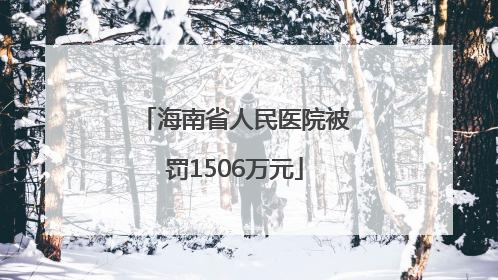 海南省人民医院被罚1506万元