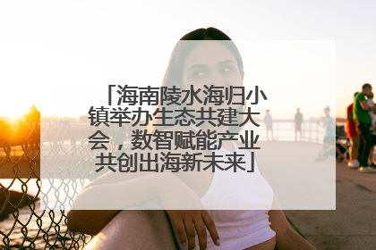 海南陵水海归小镇举办生态共建大会，数智赋能产业共创出海新未来