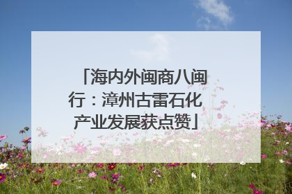 海内外闽商八闽行：漳州古雷石化产业发展获点赞
