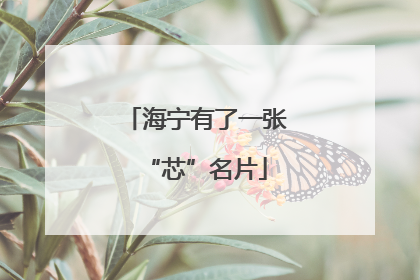 海宁有了一张“芯”名片