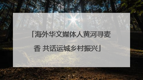海外华文媒体人黄河寻麦香 共话运城乡村振兴