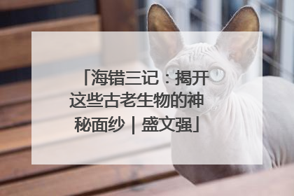 海错三记：揭开这些古老生物的神秘面纱｜盛文强