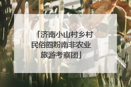 济南小山村乡村民俗圈粉南非农业旅游考察团