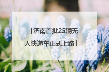 济南首批25辆无人快递车正式上路