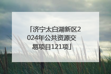 济宁太白湖新区2024年公共资源交易项目121项