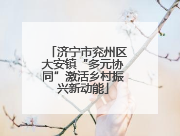 济宁市兖州区大安镇“多元协同”激活乡村振兴新动能
