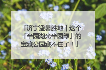 济宁避暑胜地｜这个「半园湖光半园绿」的宝藏公园藏不住了！
