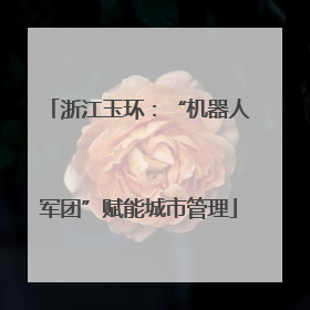 浙江玉环：“机器人军团”赋能城市管理