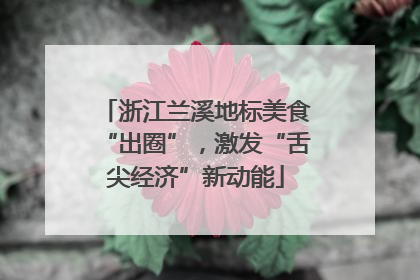 浙江兰溪地标美食“出圈”，激发“舌尖经济”新动能
