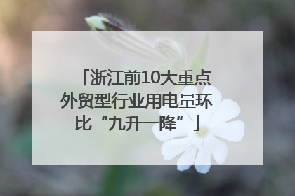 浙江前10大重点外贸型行业用电量环比“九升一降”