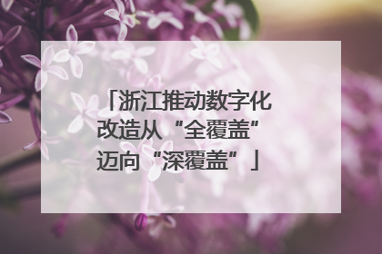 浙江推动数字化改造从“全覆盖”迈向“深覆盖”