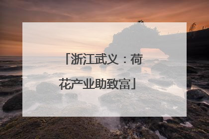 浙江武义：荷花产业助致富