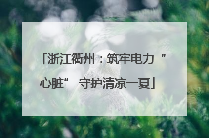 浙江衢州：筑牢电力“心脏” 守护清凉一夏