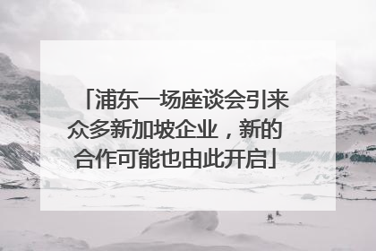 浦东一场座谈会引来众多新加坡企业，新的合作可能也由此开启