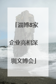 淄博8家企业亮相深圳文博会