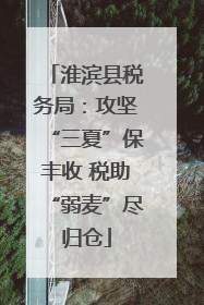 淮滨县税务局：攻坚“三夏”保丰收 税助“弱麦”尽归仓