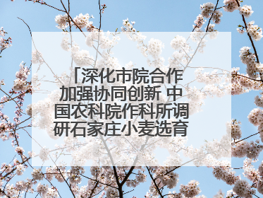 深化市院合作 加强协同创新 中国农科院作科所调研石家庄小麦选育种等工作