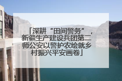 深耕“田间警务”，新疆生产建设兵团第二师公安以警护农绘就乡村振兴平安画卷