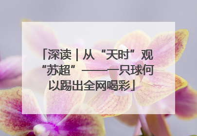 深读｜从“天时”观“苏超”——一只球何以踢出全网喝彩