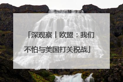 深观察丨欧盟：我们不怕与美国打关税战