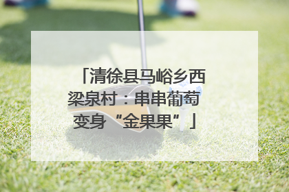 清徐县马峪乡西梁泉村：串串葡萄变身“金果果”