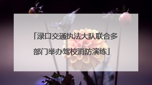 渌口交通执法大队联合多部门举办驾校消防演练