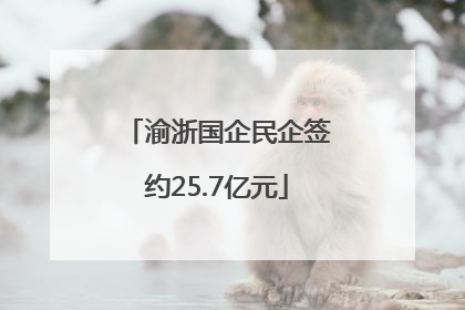 渝浙国企民企签约25.7亿元