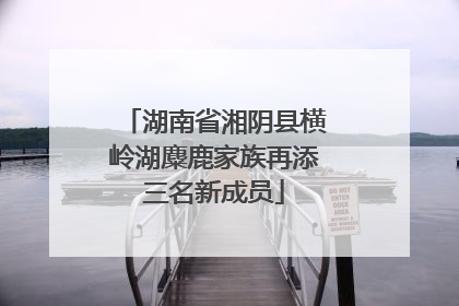 湖南省湘阴县横岭湖麋鹿家族再添三名新成员