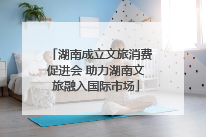 湖南成立文旅消费促进会 助力湖南文旅融入国际市场
