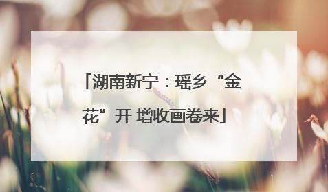 湖南新宁：瑶乡“金花”开 增收画卷来