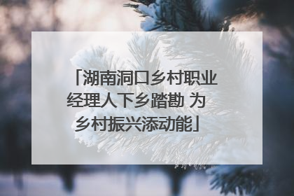 湖南洞口乡村职业经理人下乡踏勘 为乡村振兴添动能